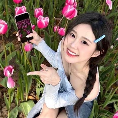 七星幻蝶墓